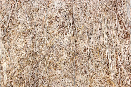 straw bale textureの写真素材