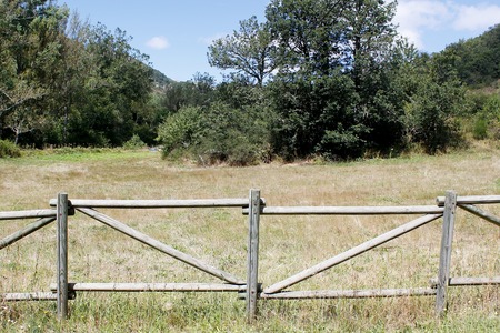country landscapeの写真素材