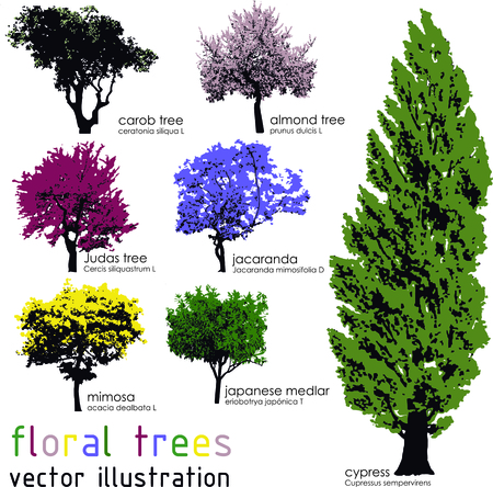 Set of floral trees silhouettes. のイラスト素材