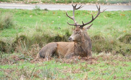 country landscape viewの写真素材