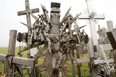 lot of cross in cemeteryの写真素材