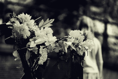 Basket with flowersの写真素材