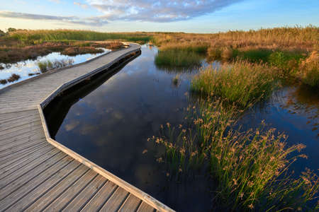 A wooden path over a lake at sunriseの写真素材