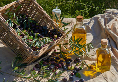 A wicker basket with ripe olives and several bottles of oil in the fieldの写真素材