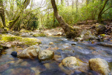 Large stones in the stream that crosses the enchanted forest, Batuecas, Salamanca, Spain.の写真素材