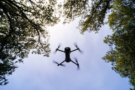 Drone flying in the blue sky between the branches of the trees.