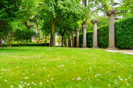 Park of lush vegetation with ancient columns of Roman styleの写真素材