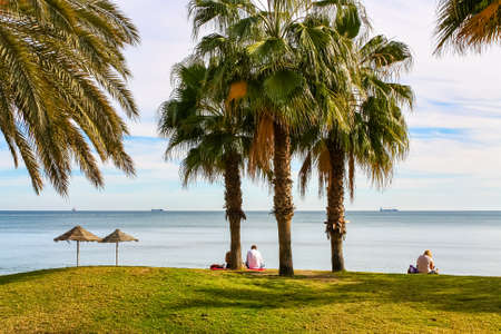 Beach with palm trees and people sitting in the area resting and looking at the sea. Malagaの写真素材