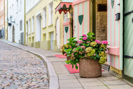 Large flower pot with flowers on the cobbled sidewalk of the medieval city.の写真素材