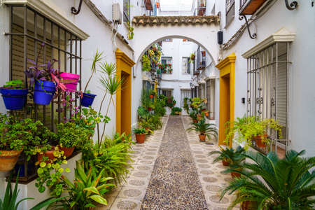 Picturesque alley of white houses with flowerpots, plants and flowers in the city of Cordoba, Spain.の写真素材