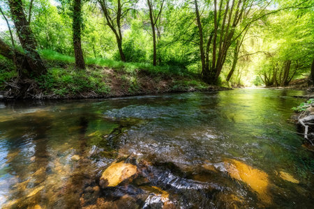 Fairytale landscape in green and gold tones with a stream between the trees and reflections of the...