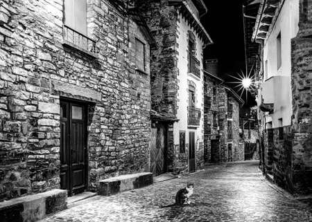 Cat at night looking at camera, in street of stone houses, mountain village. Mediaeval architecture....