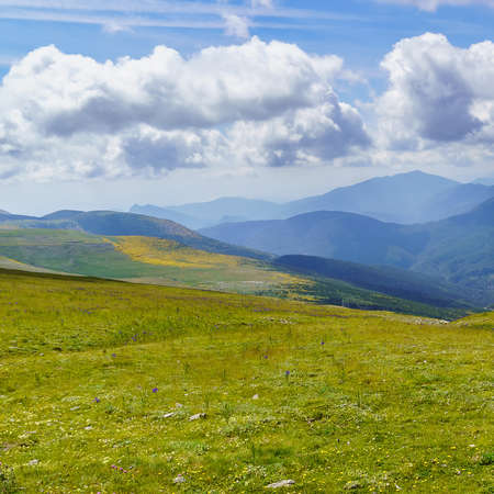 Mountain range with green meadows, flowers and blue sky with big white clouds. Relaxing and peaceful nature scene. Spanish Pyrenees. Ordesa. Europeの写真素材