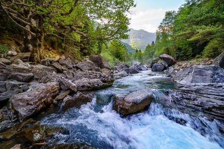 Forest landscape with fast and clean river, big trees and rocks. Pyrenees, Ordesa. Rest and nature...