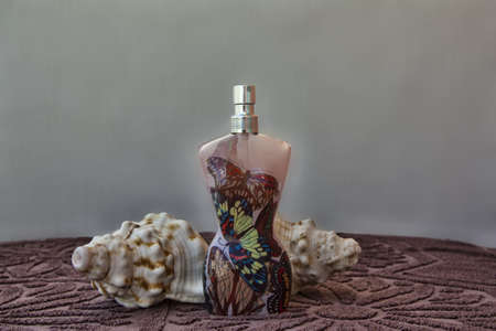 perfume bottle-shaped body of woman in brown top table, surrounded by two white shells from the beach, on white background のeditorial素材