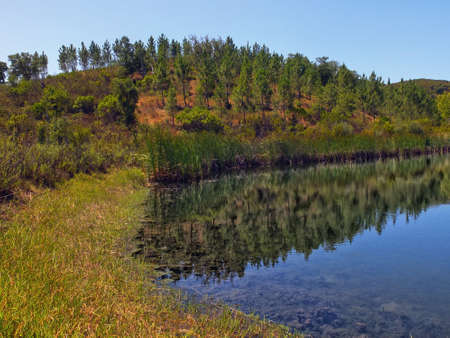 pond in the middle of the mountains and vegetationの写真素材