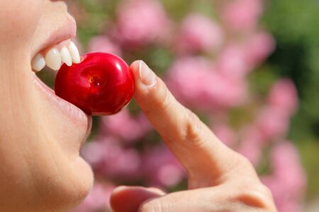 Biting a ripe cherry in the Jerte valleyの写真素材