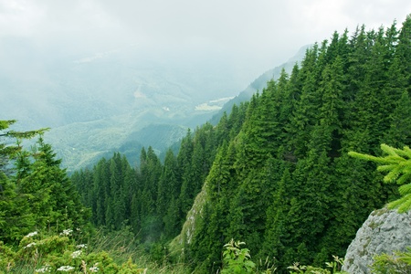 Beautiful moody landscape with mountainsの写真素材