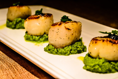seared scallops as appetiser in italian restaurantの写真素材