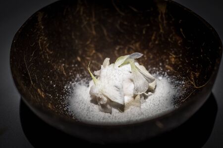 House made nata de coco, aloe vera, textures of fresh market coconut served in a coconut shell bowlの写真素材