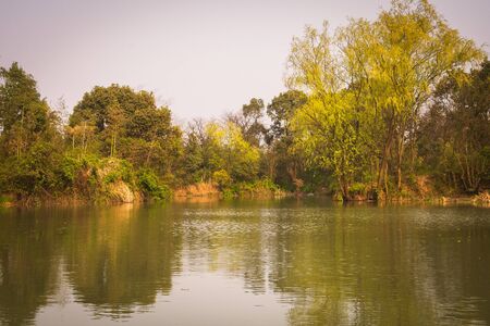a scene from Xixi Wetland Marshes in hangzhou in China