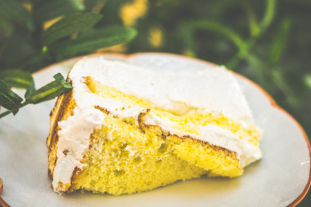 a slice of Meringue Cake with Vanilla cream, vanilla cake and meringue