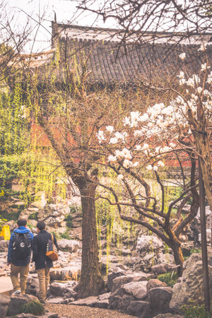 view of chinese architecture in Yu Garden in Shanghai, Chinaの写真素材