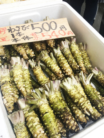 Fresh Wasabi Rootsの写真素材