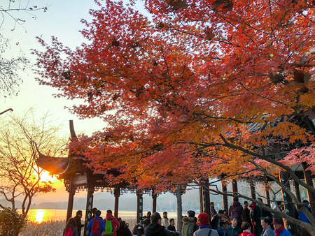 Cherry Blossom at West Lakeのeditorial素材