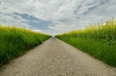 Spring on a farmの写真素材
