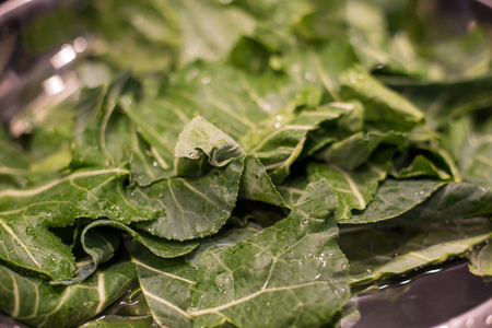 Greens in Bowl of Waterの写真素材