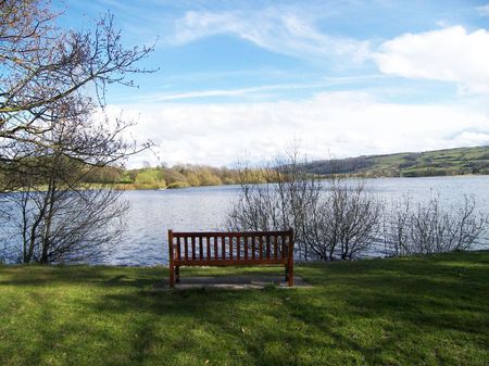 A wooden bench near a lake.の写真素材