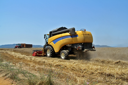 harvested wheat a summer dayの写真素材