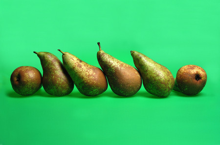 Pear in a Row,の写真素材