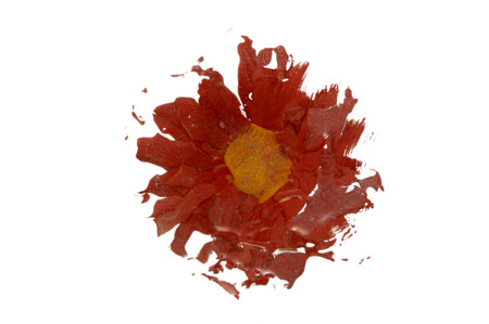 Flowerの写真素材
