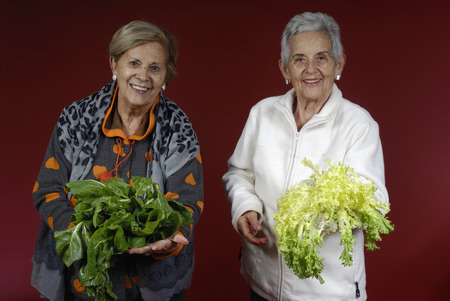 Two senior women with chard and endiveの写真素材
