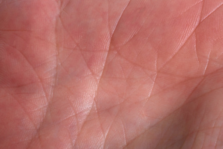 Palm of the handの写真素材