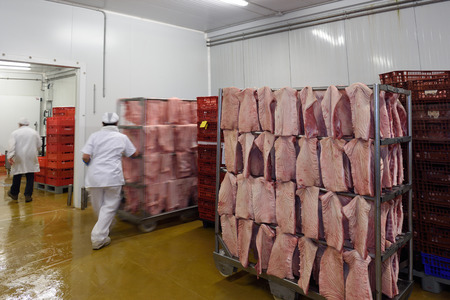 Meat Industry processing porkの写真素材