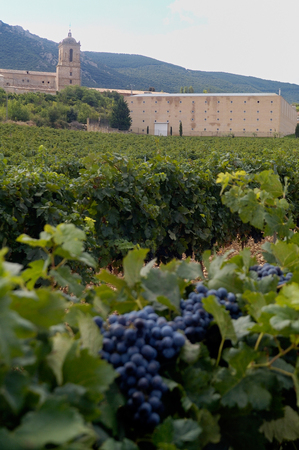 Vineyards and the monastery of Ayegui in Navarra, Spainの写真素材