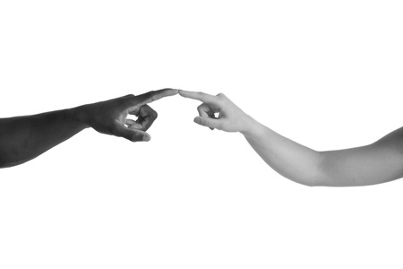 One caucasian and one african hand on white backgroundの写真素材
