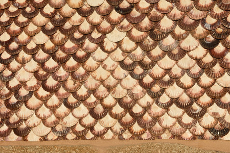 Walls of Zamburinas (Sticks) Cambados, Pontevedra province, Galicia, Spainの写真素材