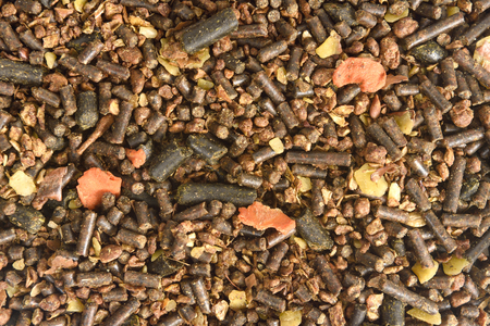 feed horse with lucerne sunflower wheat apple carrot and soybeans etcの写真素材