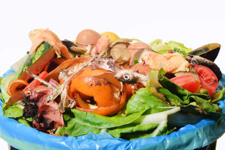 compost on white bacgroundの写真素材