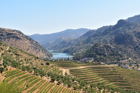 Parque Natural do Douro Internacional landscape near Saucelle dam, Portugalのeditorial素材