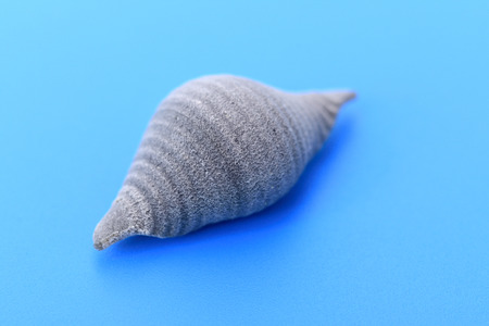 Pasta conchiglie on blue backgroundの写真素材
