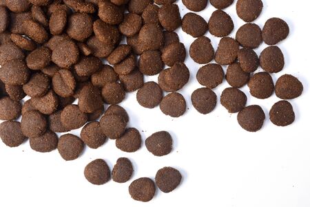 closeup of feed of dog