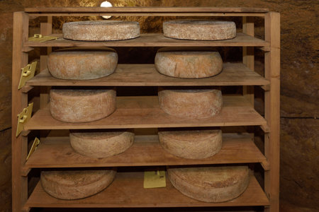 cheese from a small producer,Pla de Estany, Girona province, Catalonia, Spain