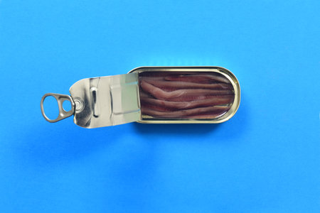 top view of a can anchovy on blue background