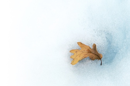 Sheetの写真素材