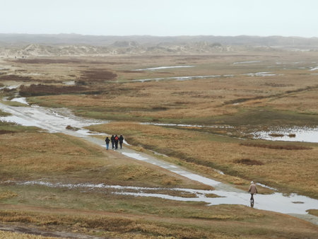 De slufter nature reserve in Texel, North Holland, the Netherlands.の写真素材